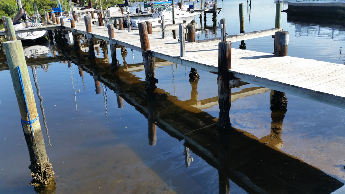 Dock at American Marina Port Richey